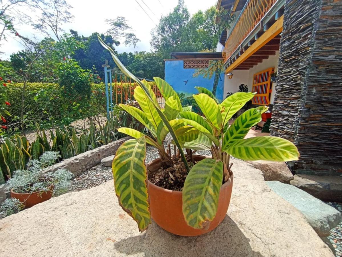 Casa De Las Rocas Hostel Jardín Dış mekan fotoğraf